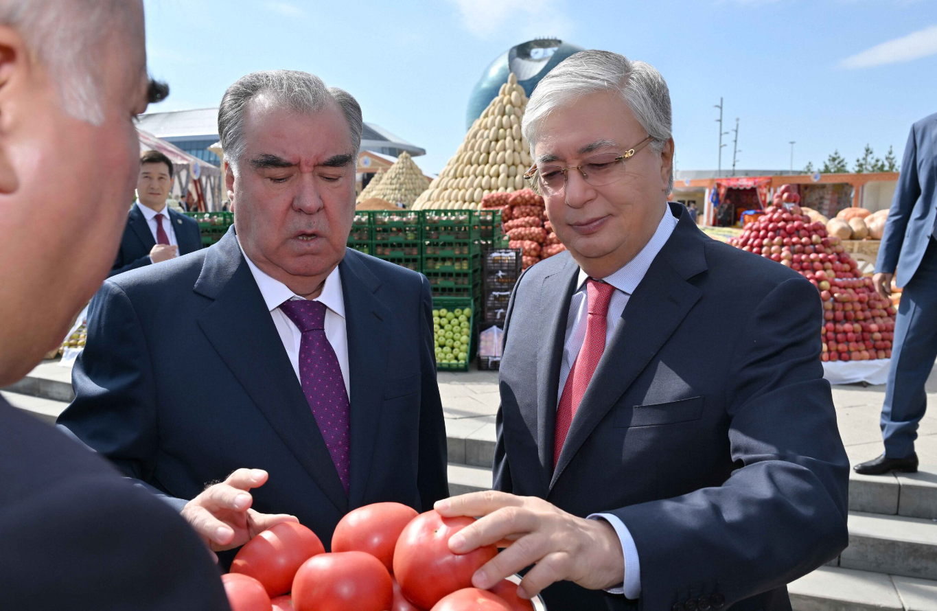 Kazakhstan and Tajikistan presidents forge digital collaboration and strengthen bilateral ties 